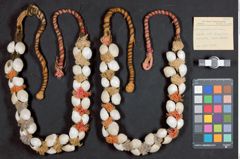 Foto (Übersicht mit Etikett) von Kopfschmuck aus Wolle mit Schneckenbesatz (NHMW-ZOO-MO-0081100-ETH-132)